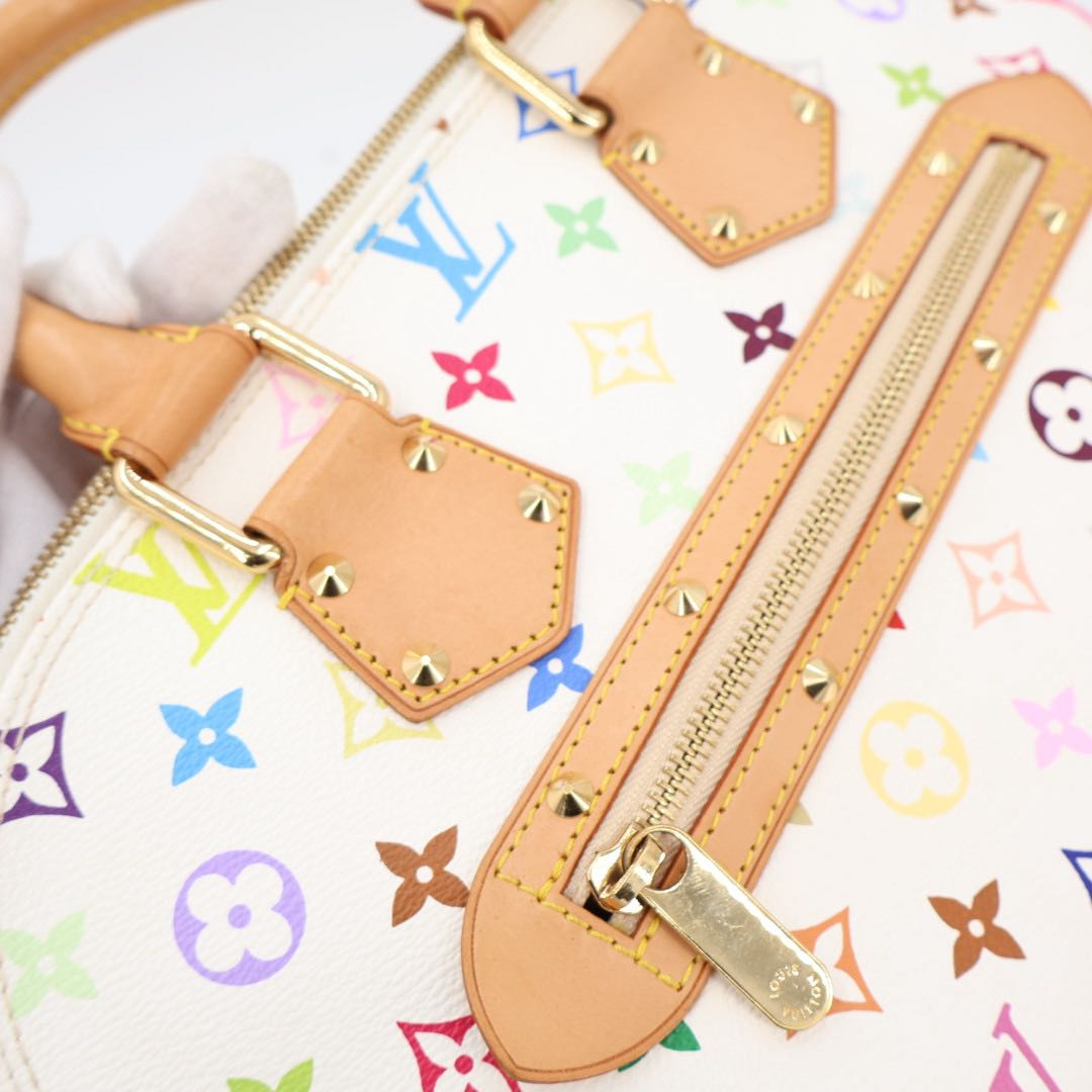 Louis Vuitton Multicolor Alma Handbag — view 5