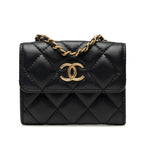 Chanel Quilted CC Logo Mini Chain Shoulder Bag Black Gold Lambskin