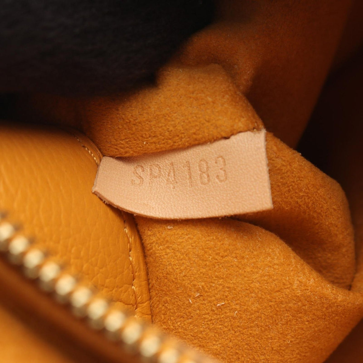 Louis Vuitton Handbag Pallas 2-Way Saffron Leather — view 5