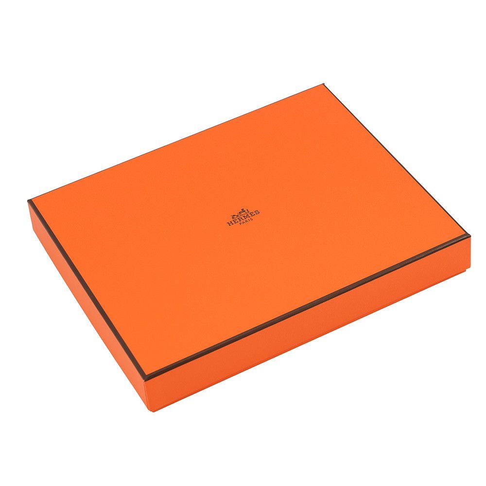 Hermes Pouch Bolide Mini Orange Fu Silver Canvas Case — view 8