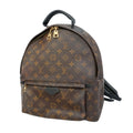 Louis Vuitton Backpack Monogram Palm Springs MM Brown