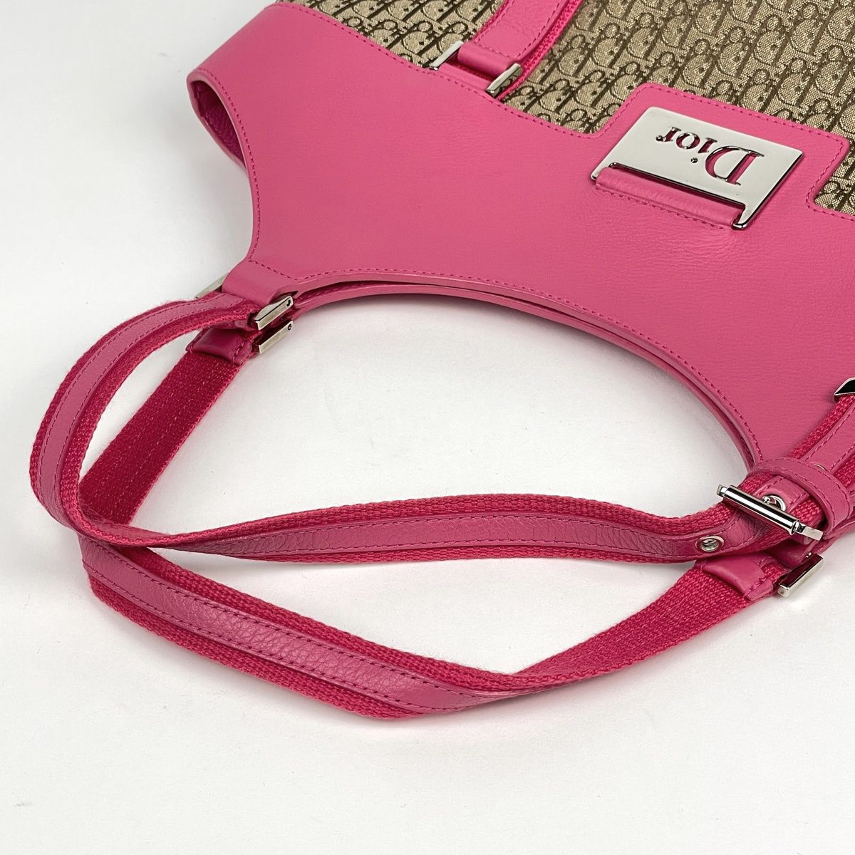 Dior Tote Street Chic Trotter Pattern Canvas Brown Pink — view 6