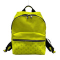 Louis Vuitton Backpack Taigarama Discovery Jaune Leather Cowhide