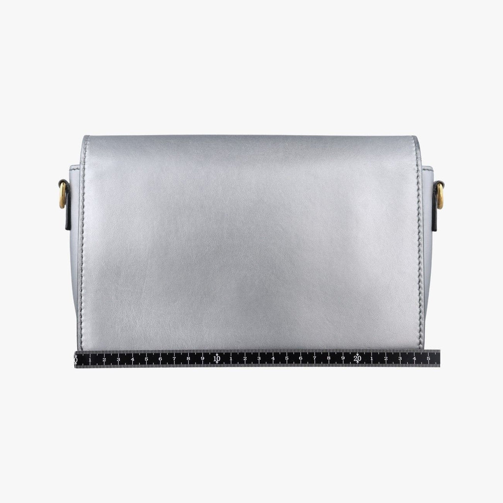Dior Evolution Flap Bag Silver Leather — view 2