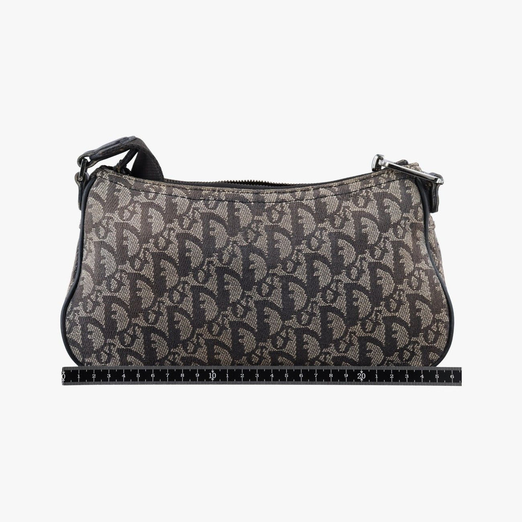 Dior Trotter Double Saddle Gray Brown Jacquard Shoulder Bag — view 2