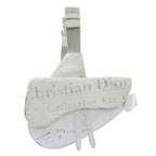 Dior Saddle Daniel Arsham Bag
