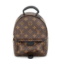 Louis Vuitton Backpack Monogram Palm Springs Mini Black