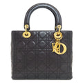 Dior Handbag Lambskin