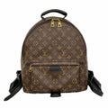 Louis Vuitton Backpack Monogram Palm Springs MM Brown