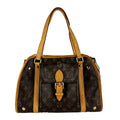 Louis Vuitton Pet Bag Pet Carrier Handbag Sac Baxter PM