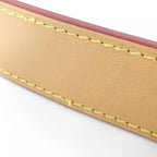 Louis Vuitton Monogram Odeon PM Crossbody — view 6