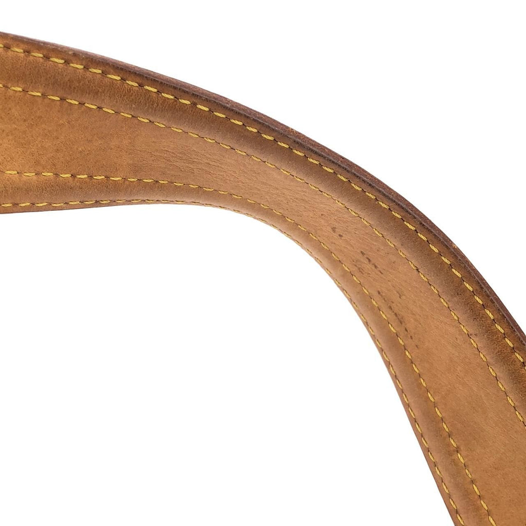 Louis Vuitton Monogram Viva-Cite GM Shoulder Bag — view 5