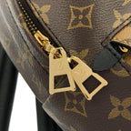 Louis Vuitton Monogram Reverse Palm Springs Backpack PM — view 5