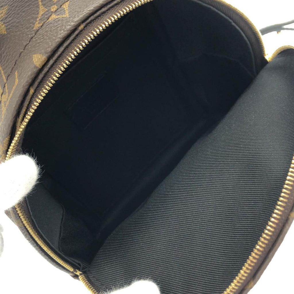 Louis Vuitton Monogram Palm Springs Backpack — view 8