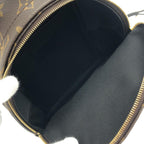 Louis Vuitton Monogram Palm Springs Backpack — view 8