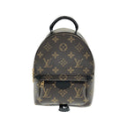 Louis Vuitton Monogram Palm Springs Backpack