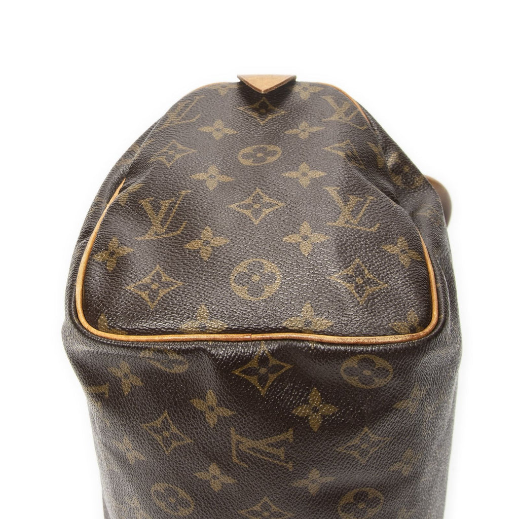 Louis Vuitton Speedy Brown Monogram Canvas Handbag — view 8