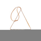 Louis Vuitton Twin Brown Monogram Canvas Shoulder Bag — view 5