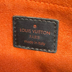 Louis Vuitton Handbag Damier Sauvage Lion Leather — view 8