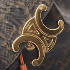 Celine Backpack Bonnie Triomphe Brown Black Leather — view 5