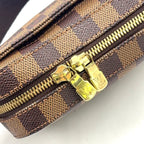 Louis Vuitton Geronimos Brown Belt Bag Gold — view 8