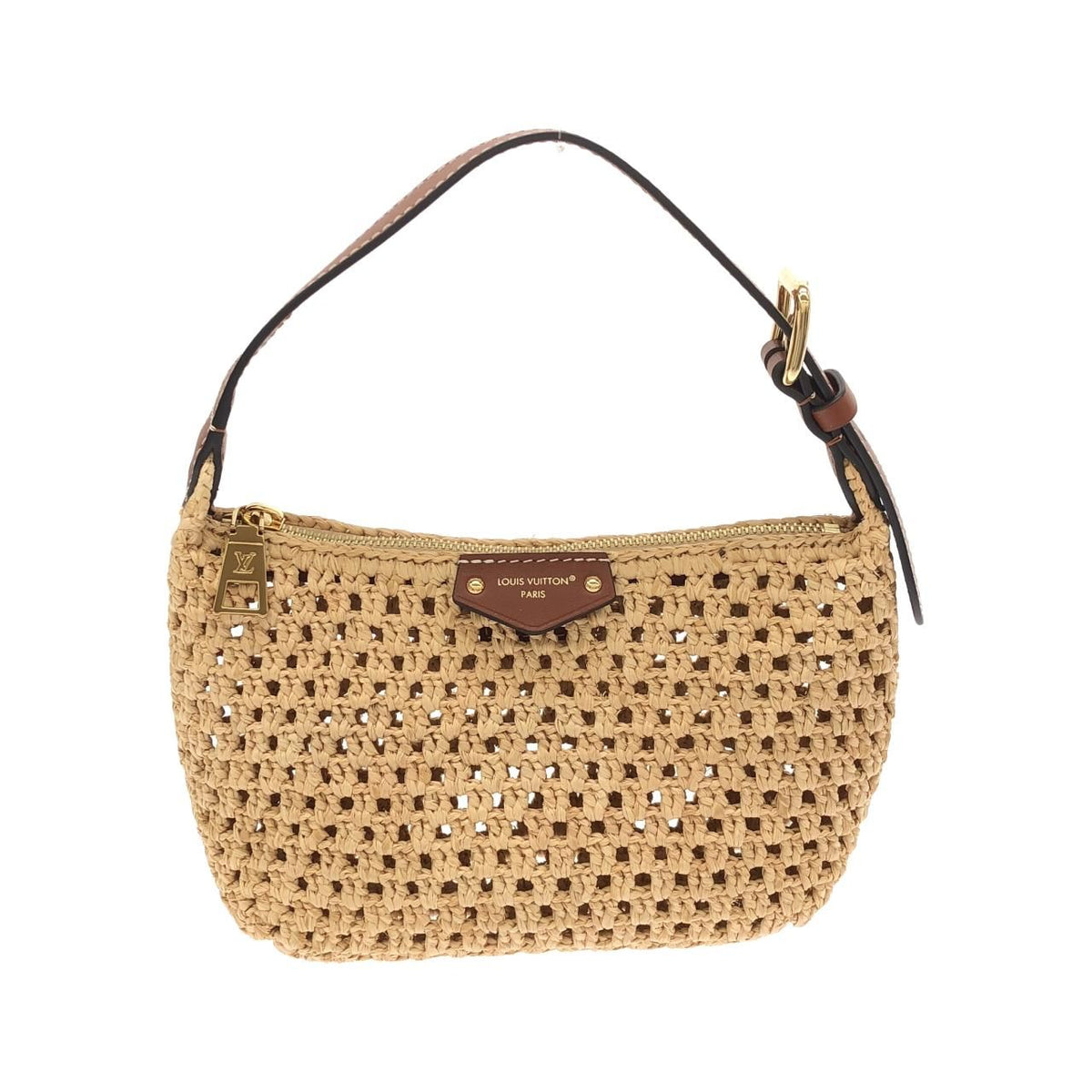 Louis Vuitton Pochette Hills Bag