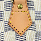 Louis Vuitton Speedy 25 Handbag Damier Azur White — view 5