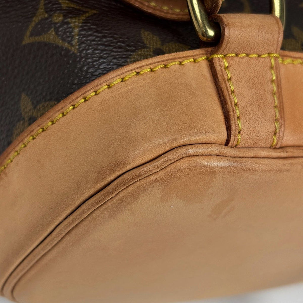 Louis Vuitton Montsouris MM Backpack Monogram Brown — view 4