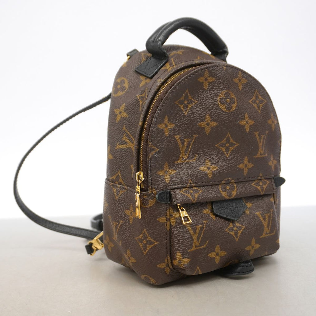 Louis Vuitton Backpack Monogram Palm Springs Mini Brown — view 2