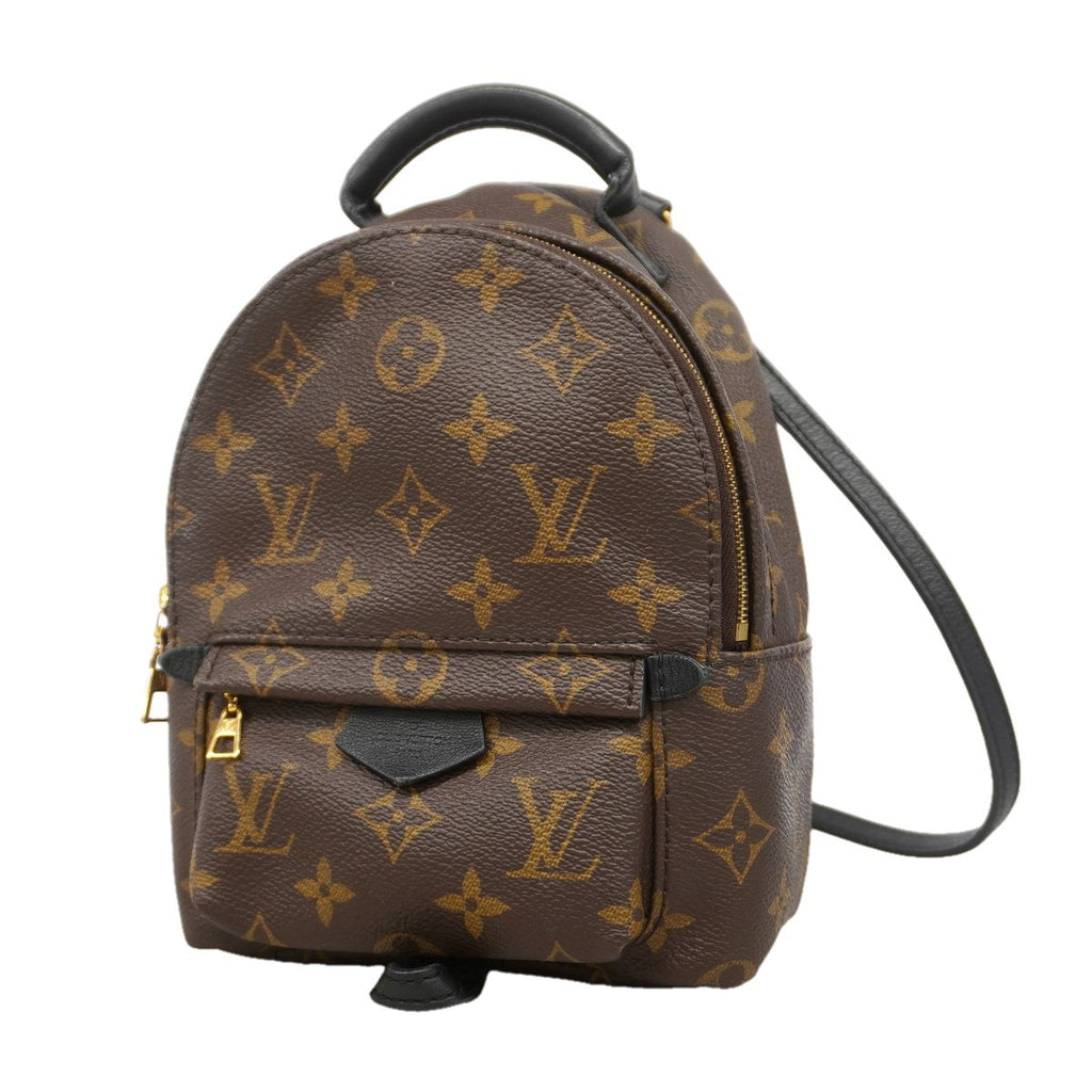 Louis Vuitton Backpack Monogram Palm Springs Mini Brown