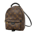 Louis Vuitton Backpack Monogram Palm Springs Mini Brown