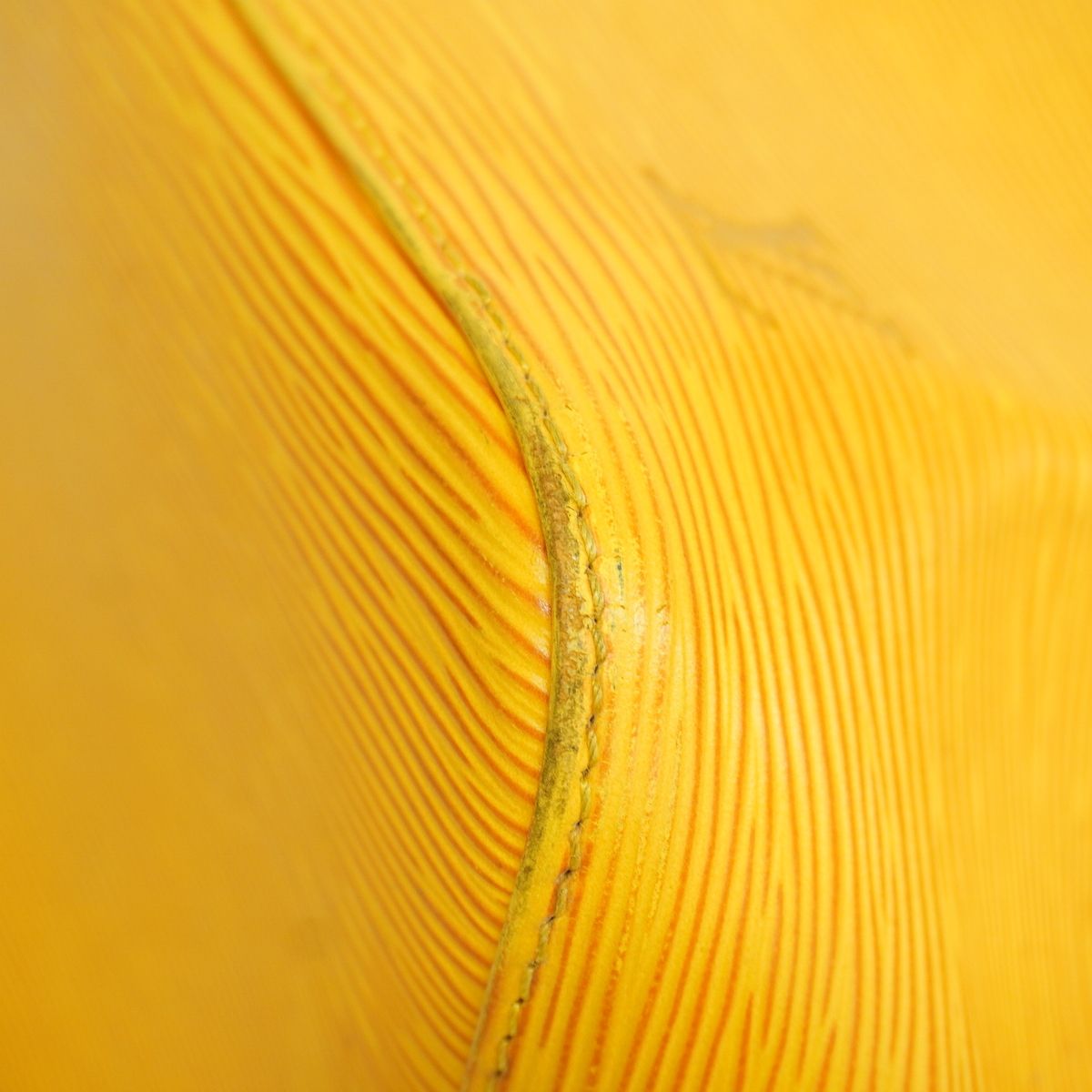 Louis Vuitton Shoulder Bag Epi Petit Noe Jaune — view 6