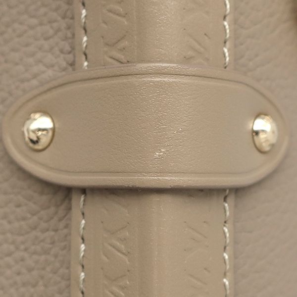 Louis Vuitton 2-Way Bag Side Trunk MM Grain Calf Leather Taupe Gold Handbag — view 7