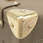 Louis Vuitton 2-Way Bag Side Trunk MM Grain Calf Leather Taupe Gold Handbag — view 4