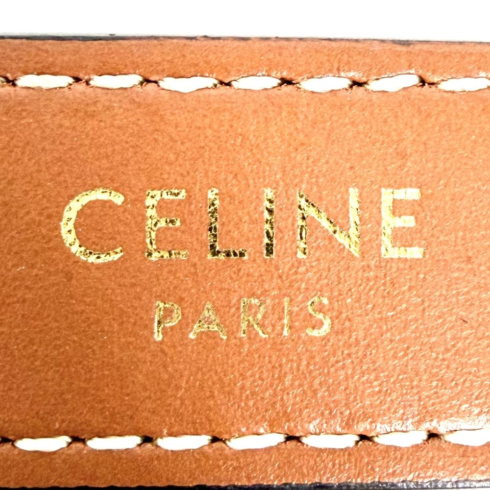 Celine Ava Triomphe One Handle Shoulder Bag Canvas Calfskin Brown Gold — view 5