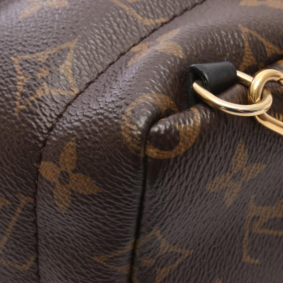 Louis Vuitton Backpack Palm Springs Mini Monogram Leather — view 6