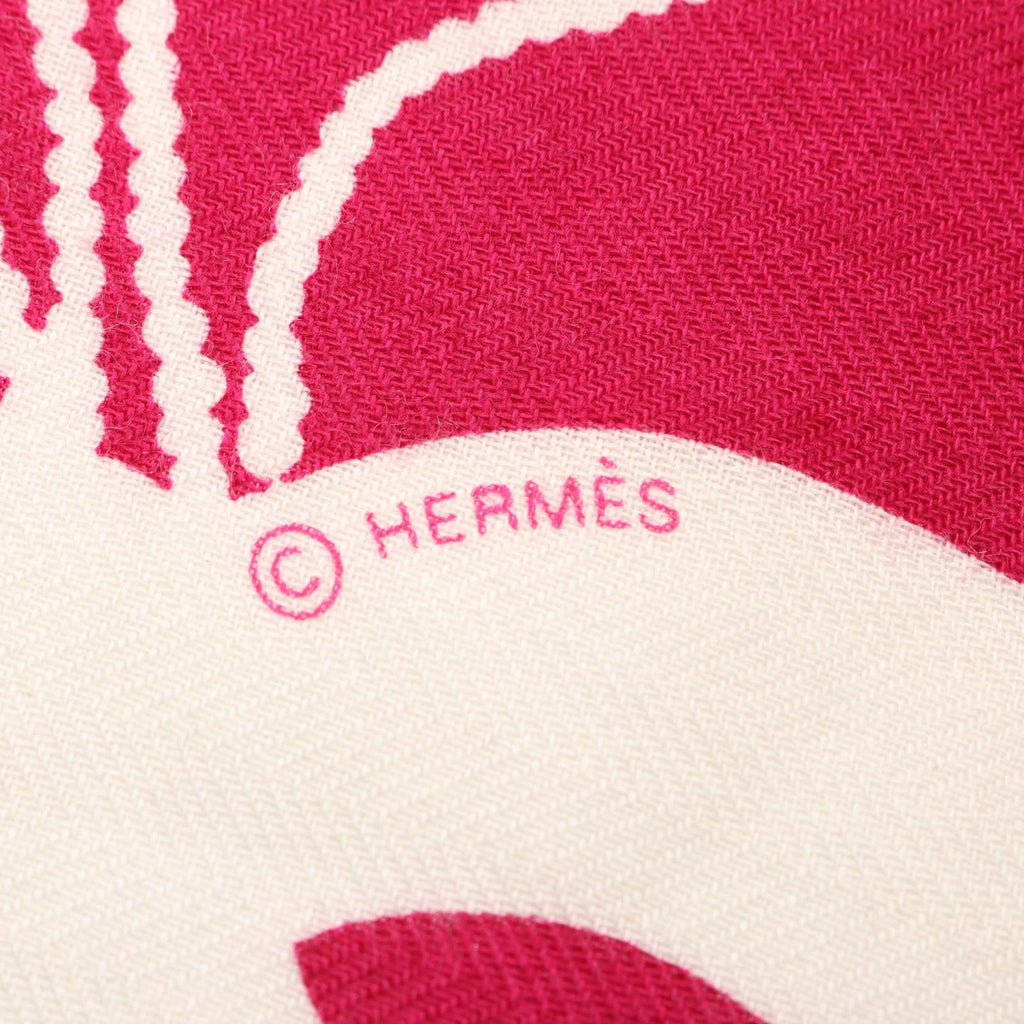 Hermes Scarf Carre Geant 140 Brazil Tattoo Silk — view 3
