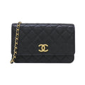 Chanel Chain Wallet Shoulder Bag