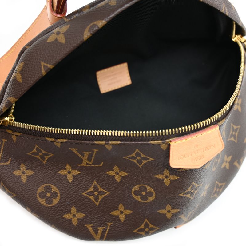 Louis Vuitton Belt Bag — view 6