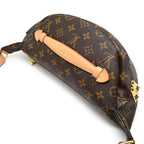 Louis Vuitton Belt Bag — view 3