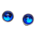 Chanel Logo Gripoix Earrings Silver Blue Metal