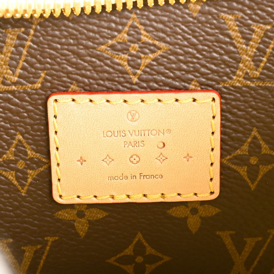 Louis Vuitton Handbag Croissant PM — view 6