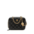 Chanel CC Logo Quilted Camera Bag Chain Black Gold Lambskin