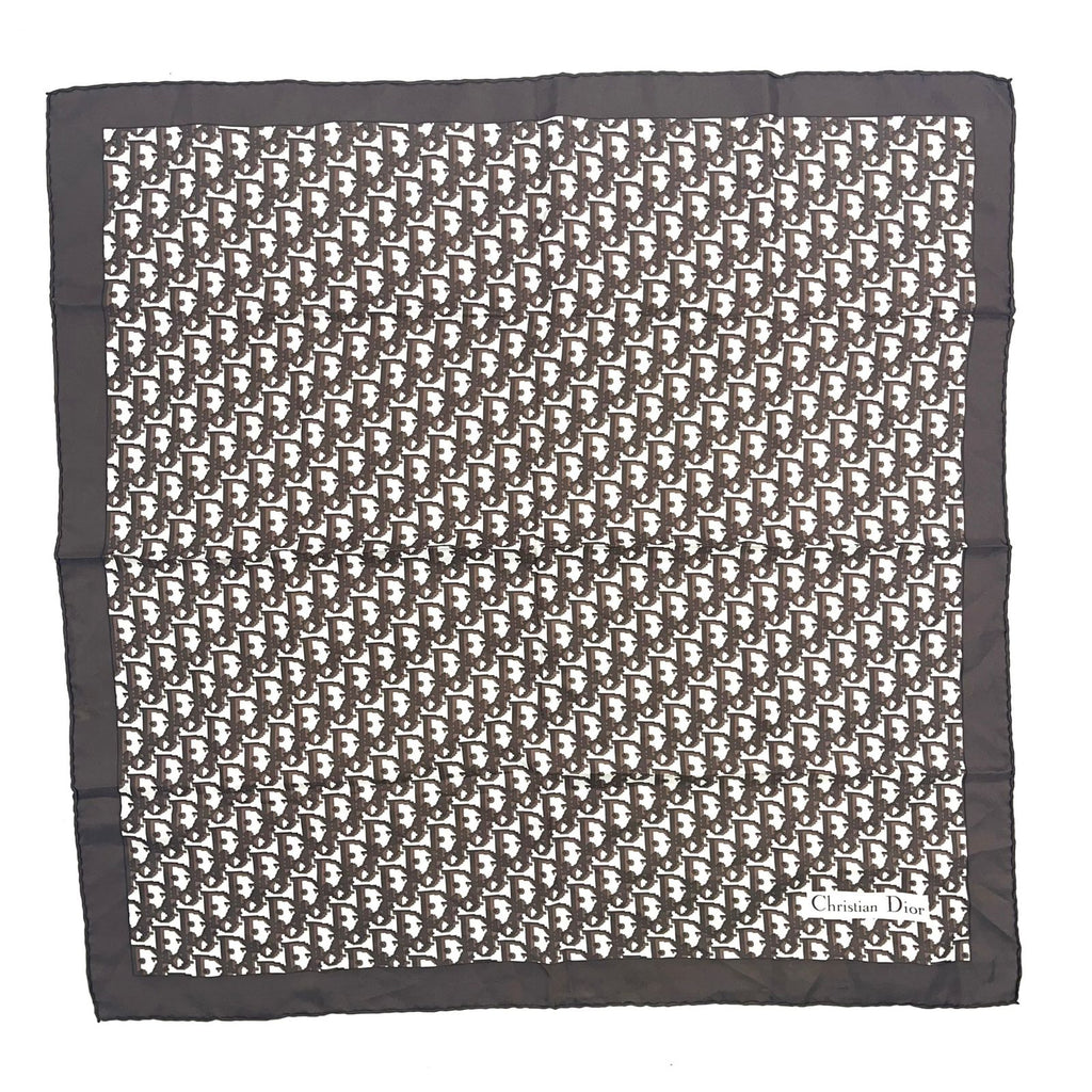 Dior Trotter Pattern Silk Brown Scarf