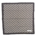 Dior Trotter Pattern Silk Brown Scarf