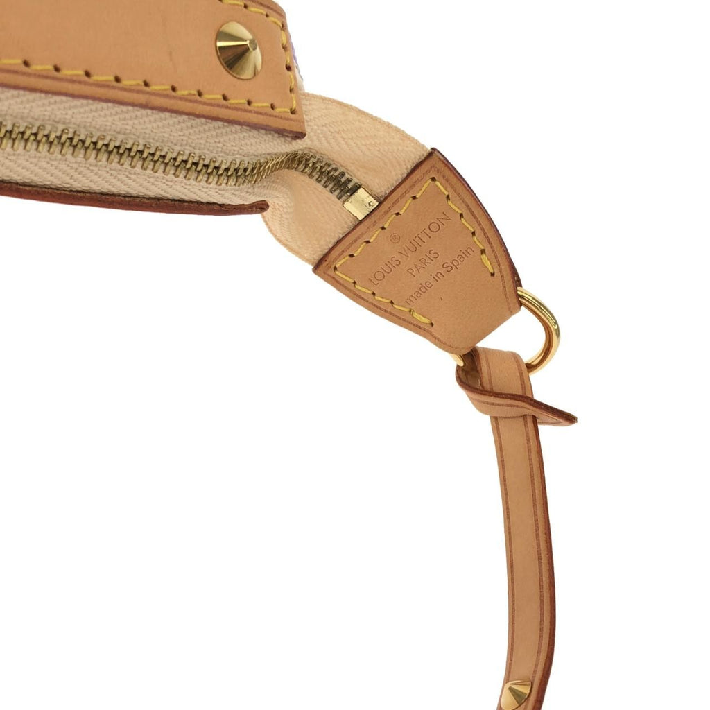 Louis Vuitton Multicolor Pochette Accessoires Pouch — view 8