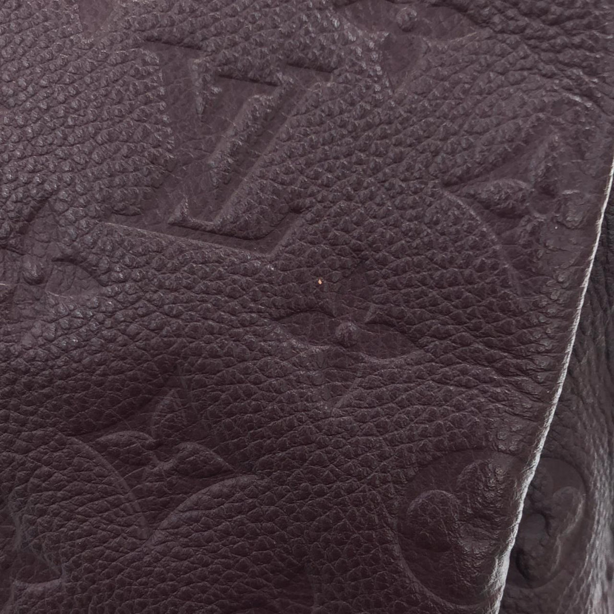 Louis Vuitton Monogram Empreinte Artsy MM Shoulder Bag — view 4