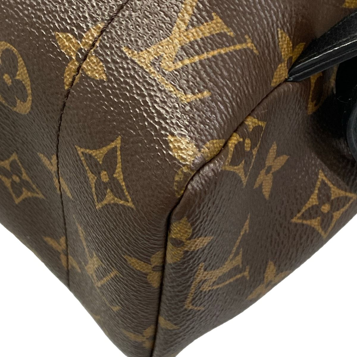Louis Vuitton Backpack Monogram Palm Springs MM Noir — view 6