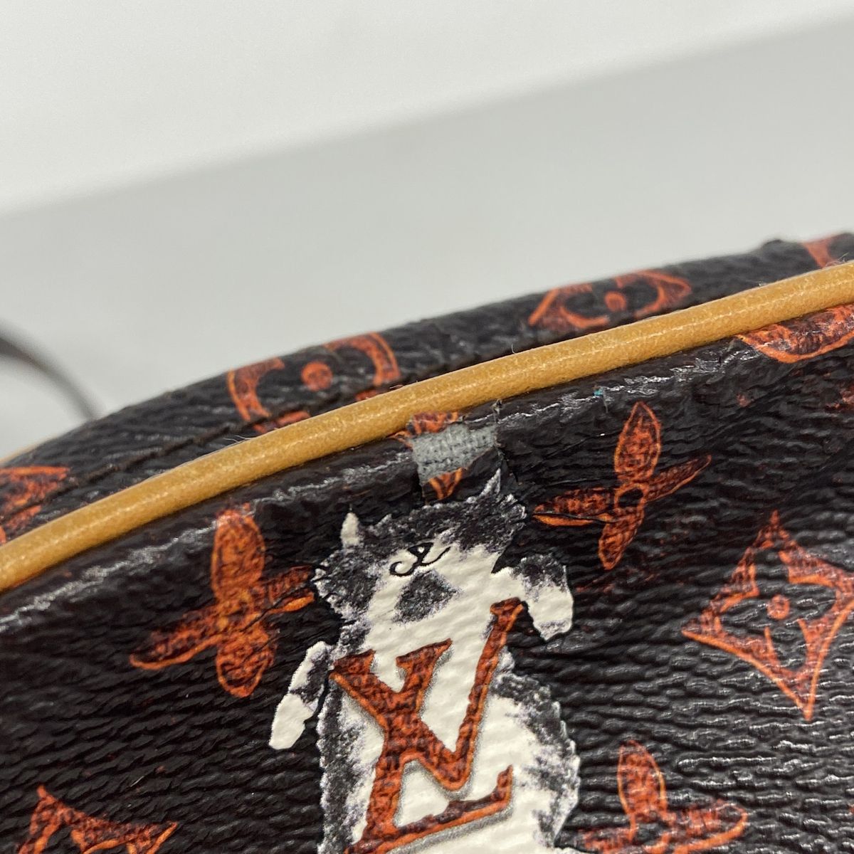 Louis Vuitton Shoulder Bag Cat Glam Panam Set Brown — view 7