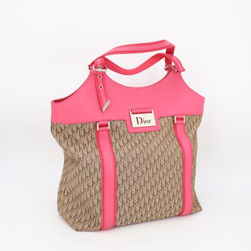 Dior Handbag Trotter Logo Plate Cotton Canvas